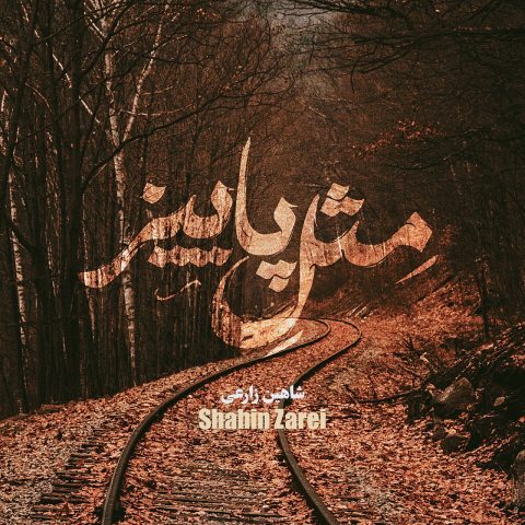 شاهین زارعی – مثل پاییز